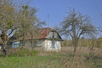 Садівські Дубини