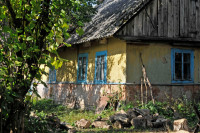 Садівські Дубини