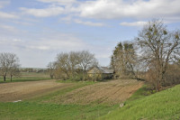 Садівські Дубини