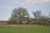 Садівські Дубини