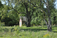 Садівські Дубини