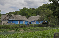 Садівські Дубини