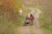 Несвіч