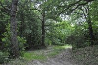 Садівські Дубини