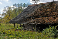 Брунетівка