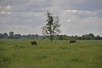 Словатичі - Останні фото