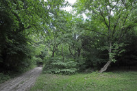 Садівські Дубини