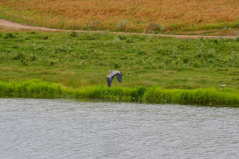 Садів - Садів