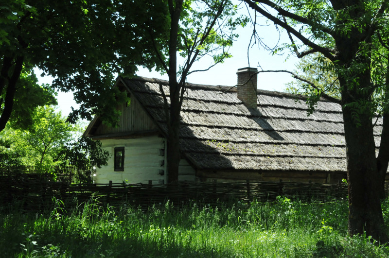 Рокині - Рокині