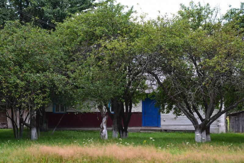 Стара Вижівка - Стара Вижівка