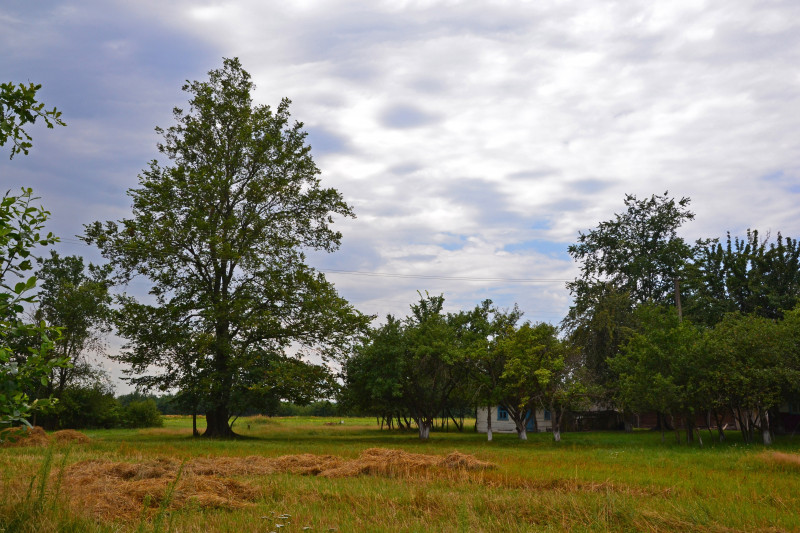 Журавлине - Журавлине