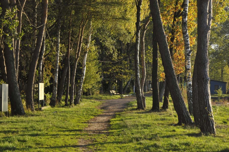 Буцинь - Буцин