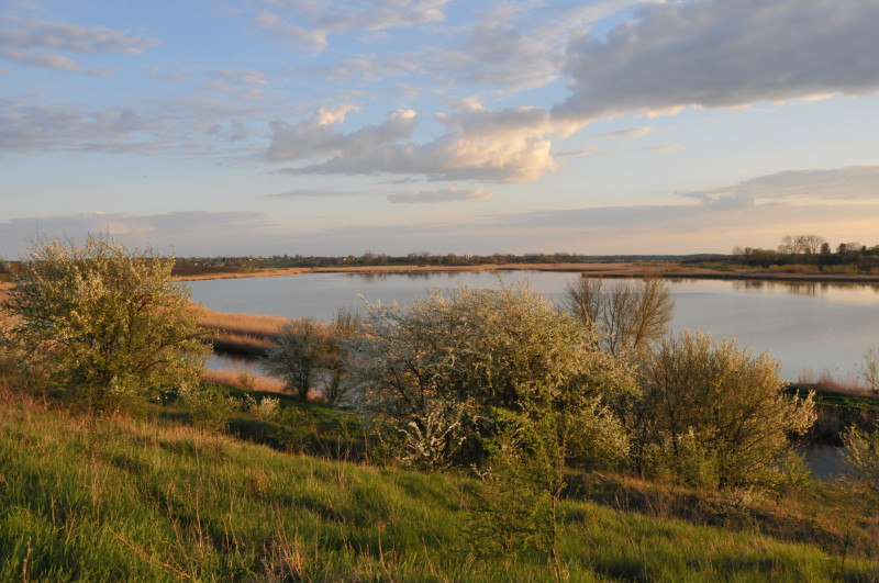 Несвіч - Несвечь