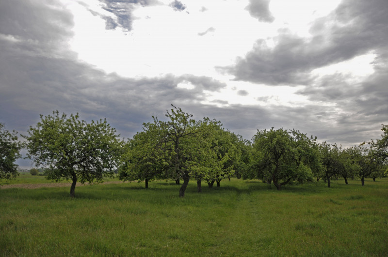 Словатичі - Словатичі