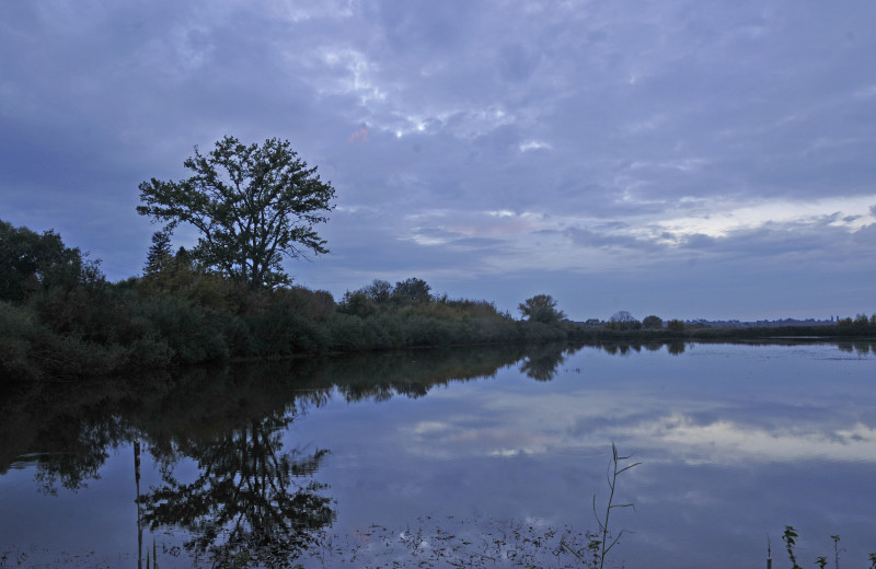 Несвіч - Несвіч
