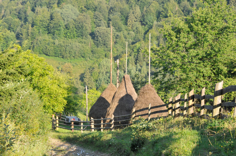 Білоберізка - Biloberizka