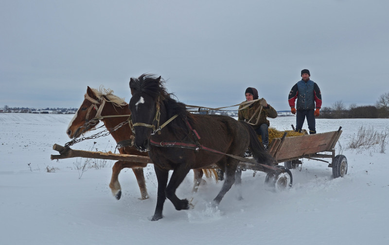 Лаврів - Лаврів