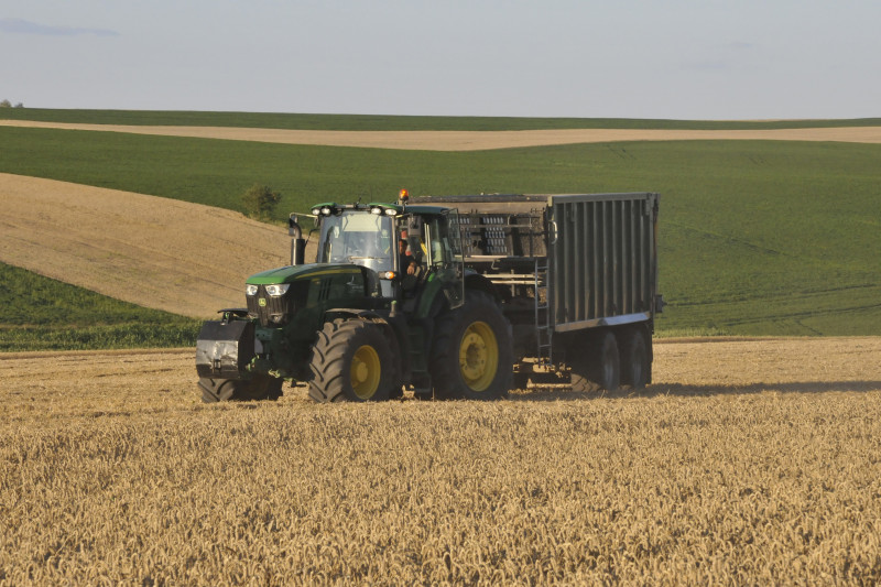 Несвіч - Несвіч