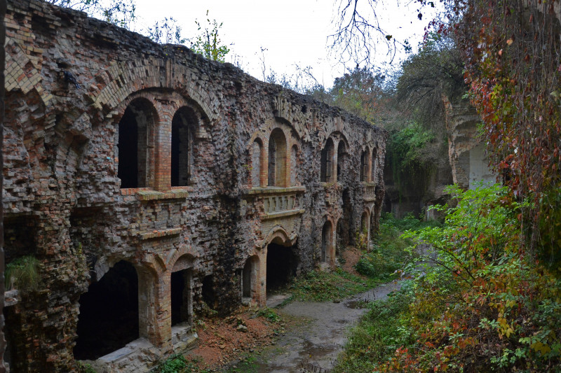 Тараканів - Тараканов