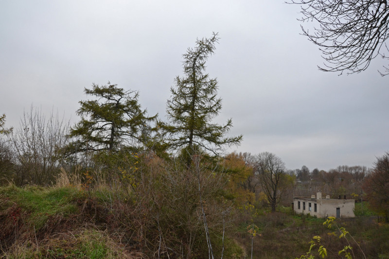 Олика - Олика