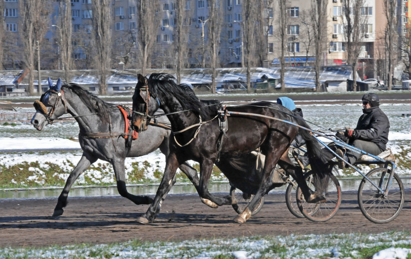 Київський іподром - Kyiv