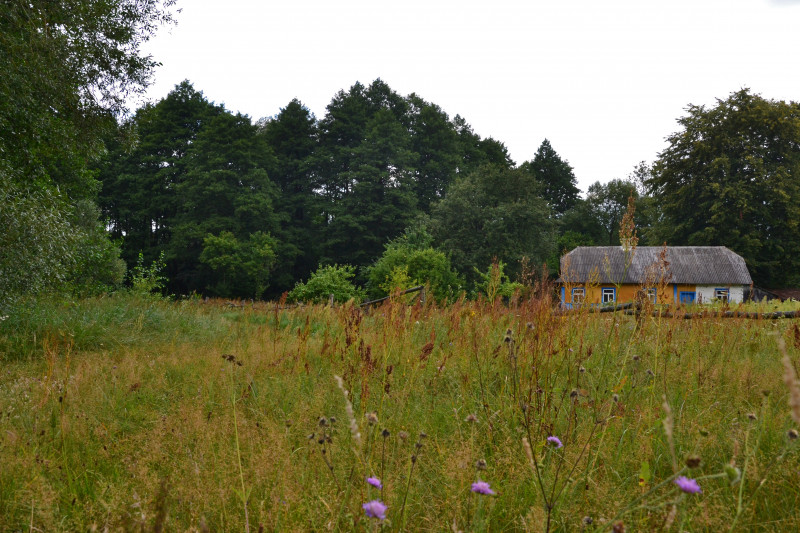 Брунетівка - Брунетівка