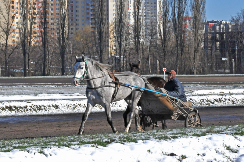 Київський іподром - Kyiv