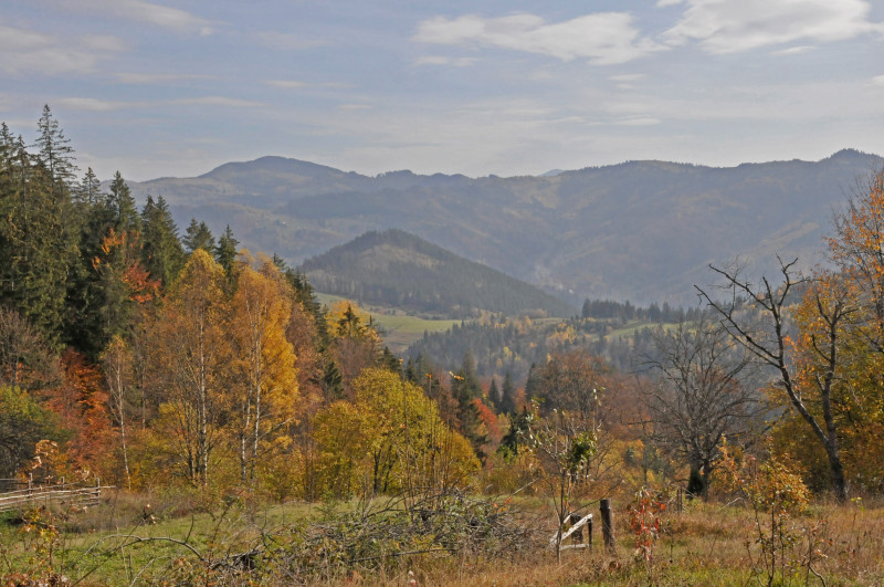 Білоберізка - Білоберізка