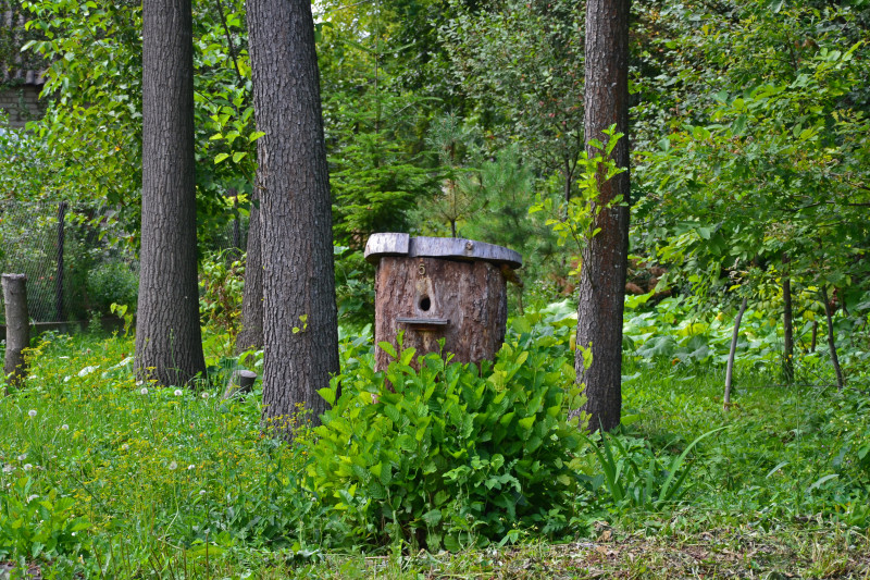 Нові Кошари - Нові Кошари