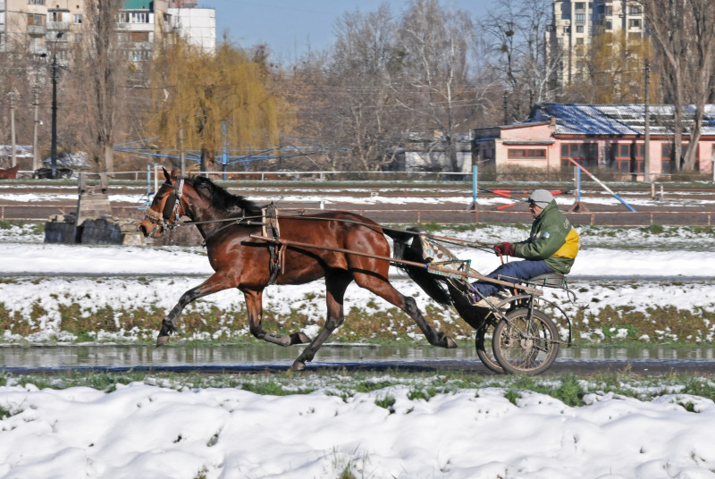 Київський іподром - Kyiv