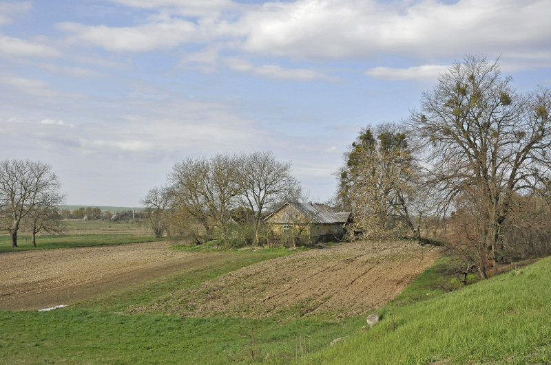 Садівські Дубини - Садівські Дубини