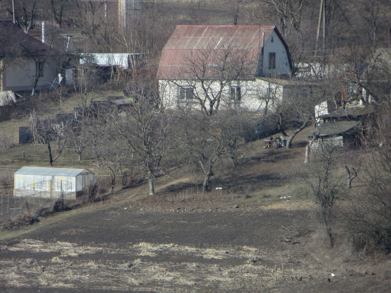 Тростинка - Тростинка