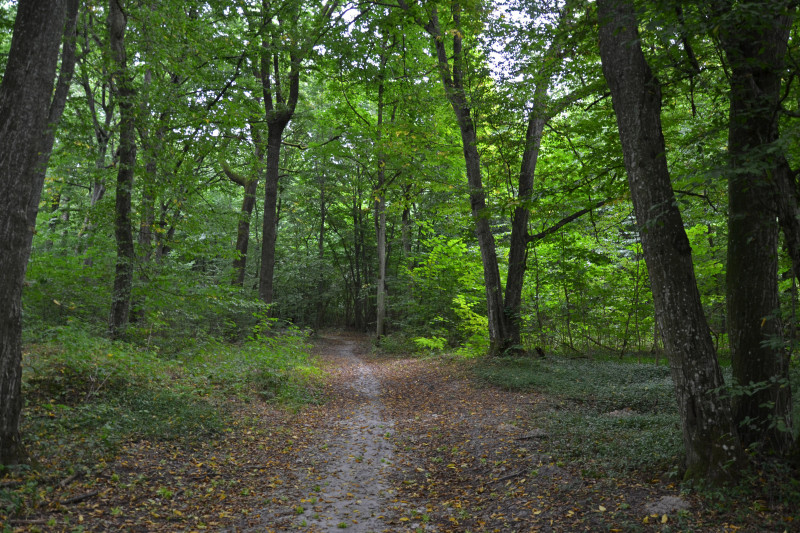 Клевань - Клевань