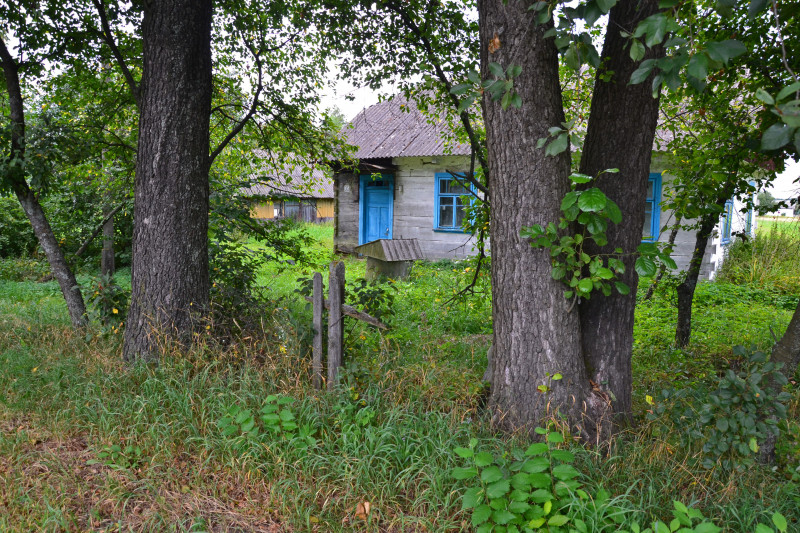 Журавлине - Журавлине