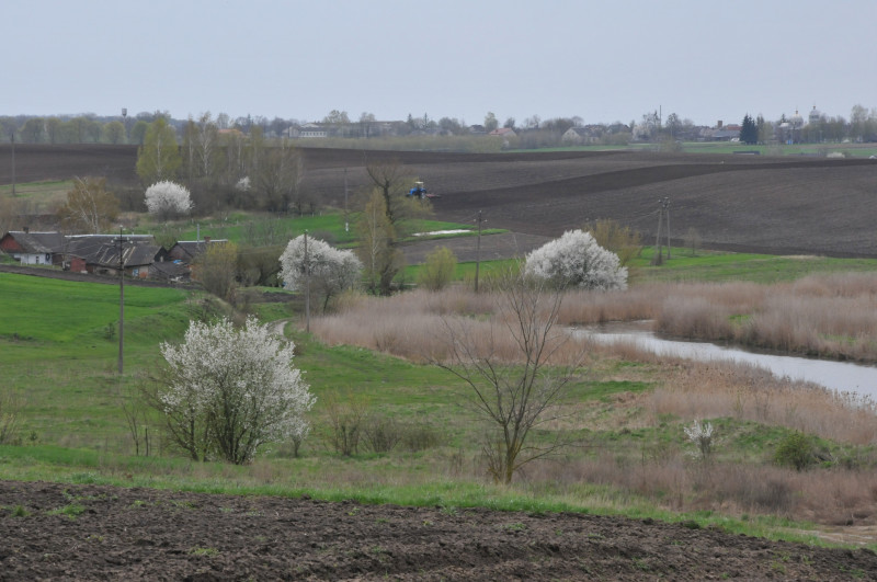 Несвіч - Несвечь
