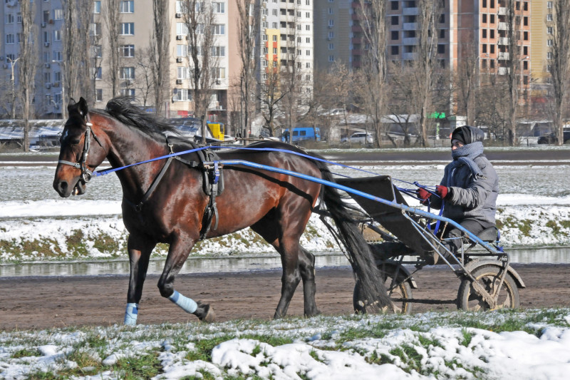 Київський іподром - Kyiv