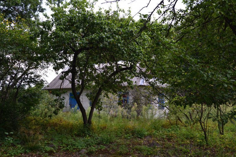 Брунетівка - Брунетівка