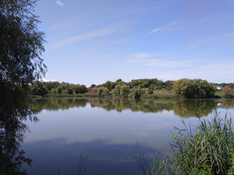 Тростинка - Тростинка