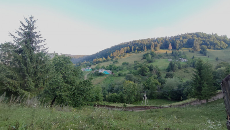 Білоберізка - Білоберізка