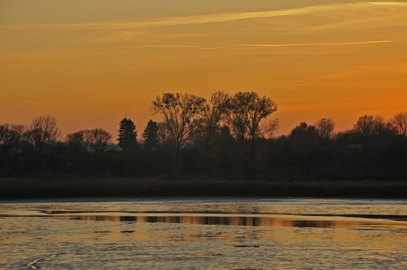 Несвіч - Несвіч
