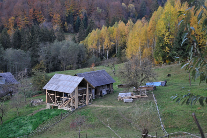 Білоберізка - Білоберізка