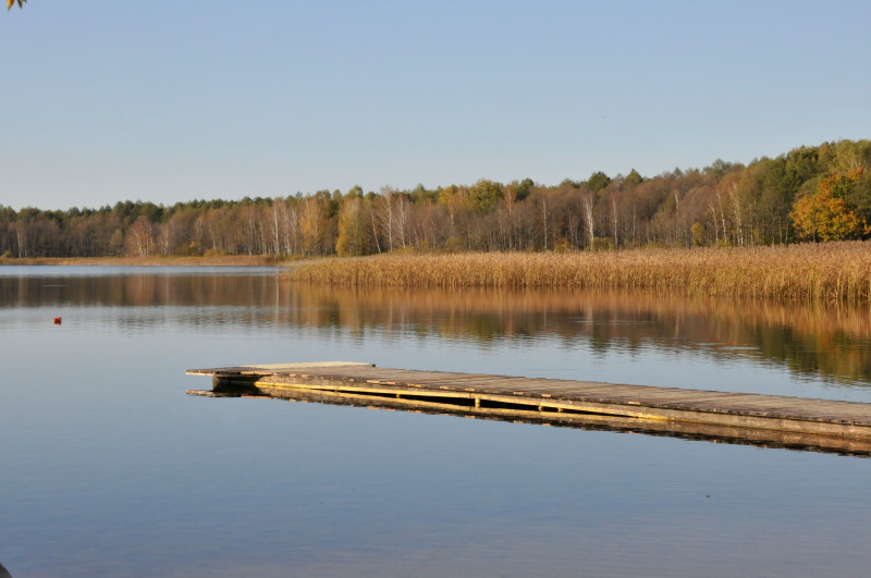 Буцинь - Буцин