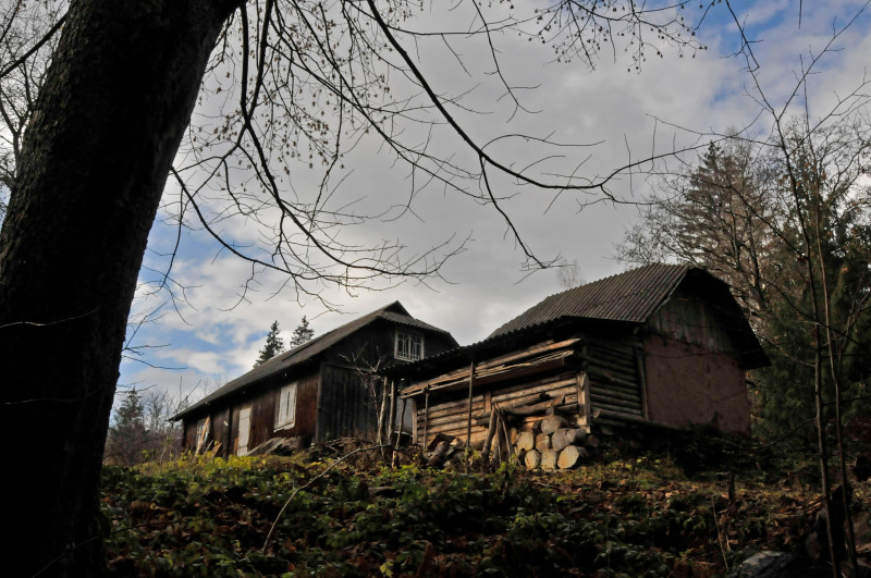 Білоберізка - Білоберізка