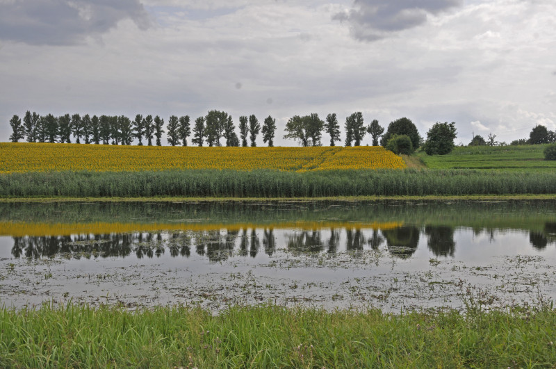 Несвіч - Несвечь