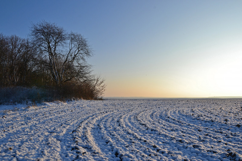 Лаврів - Лаврів