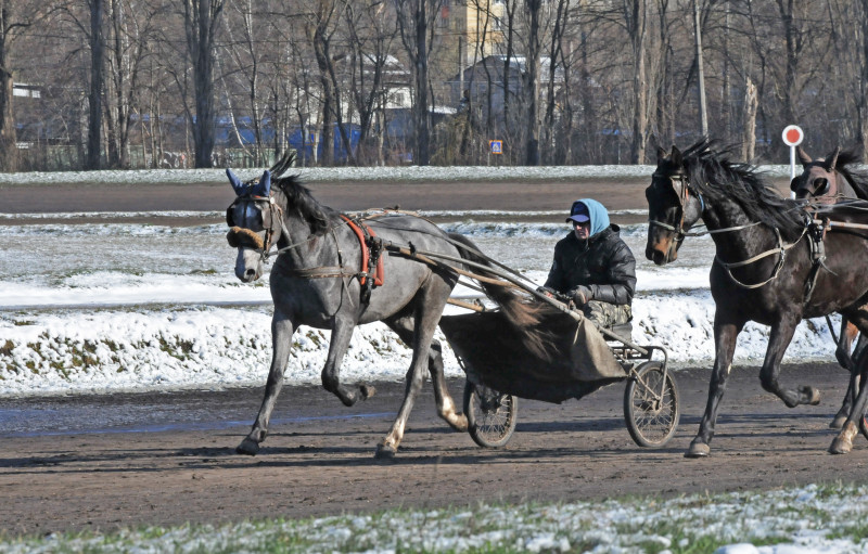 Київський іподром - Kyiv
