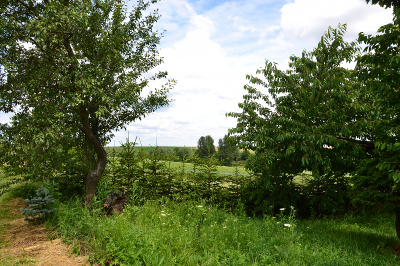 Старий Загорів - Старий Загорів