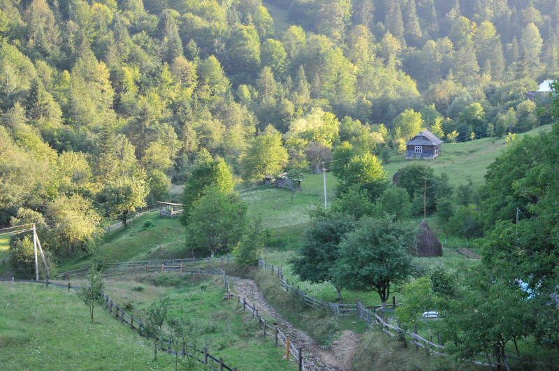Білоберізка - Biloberizka