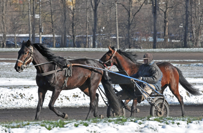 Київський іподром - Kyiv
