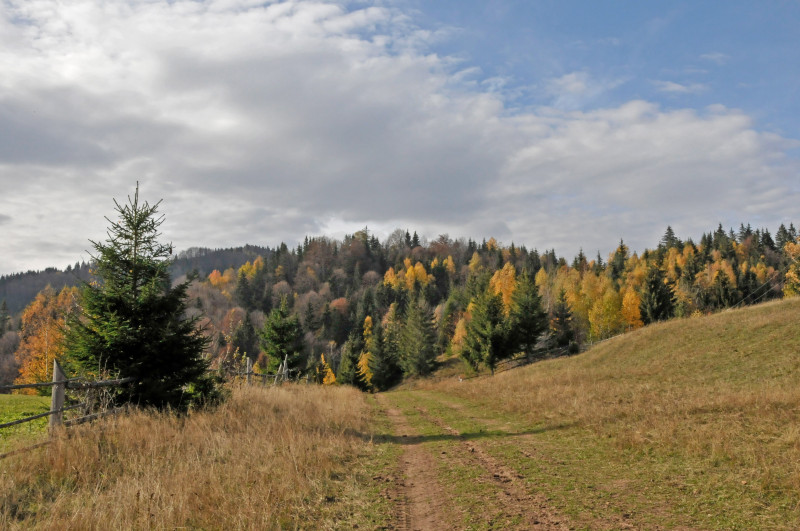 Білоберізка - Білоберізка
